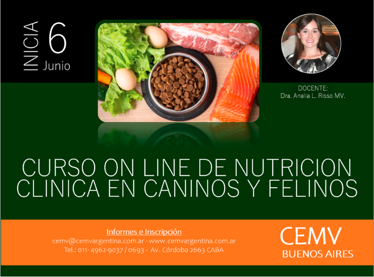 Curso Online De Nutrici N Cl Nica En Caninos Y Felinos Copia Cemv