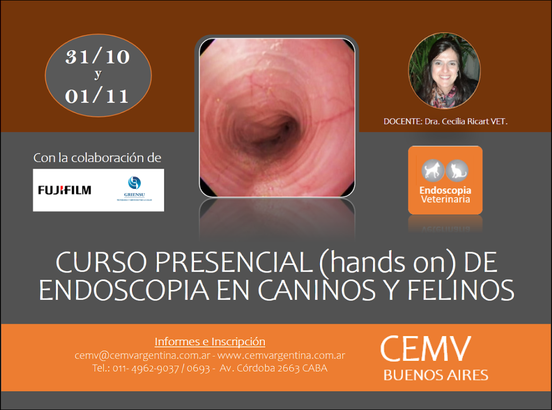 Curso Presencial Hands On De Endoscop A En Caninos Y Felinos Cemv